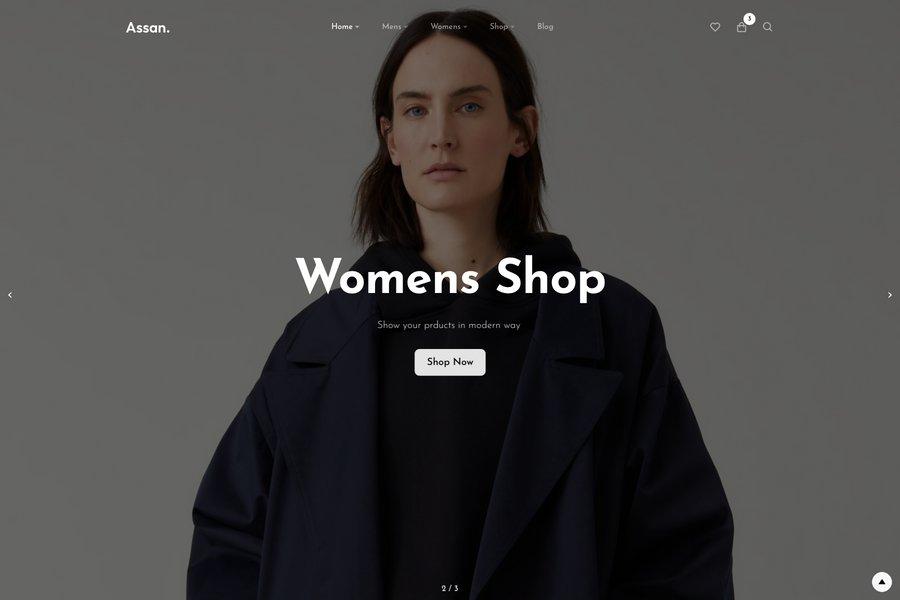 assan consultancyw ebsite template