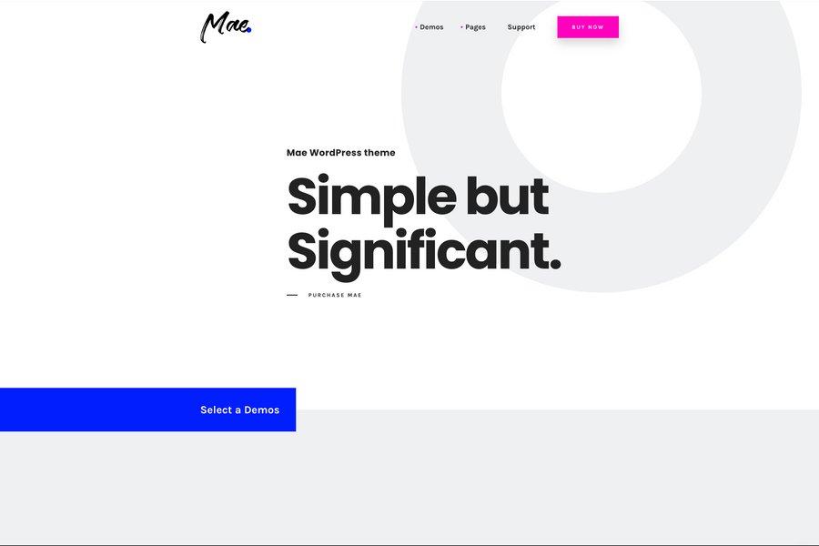 Mae - Mobile Responsive Event Website Template
