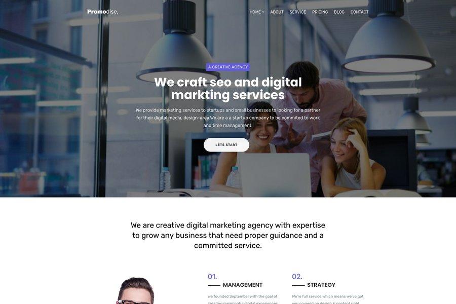Promodise - Free Startup Business Website Theme